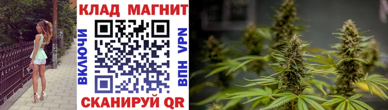 Как найти наркотики Ковдор ГАШИШ  Кокаин  Мефедрон  Галлюциногенные грибы  Бошки Шишки 