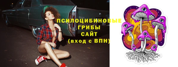 спиды Абинск