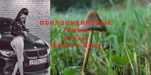 a pvp Абаза