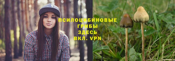 шишки Покачи