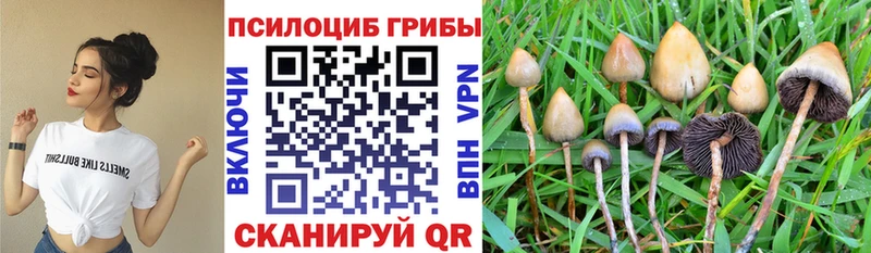 Галлюциногенные грибы MAGIC MUSHROOMS  гидра зеркало  Ковдор 